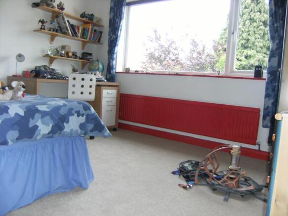 Photo 12