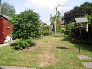 View of Garden