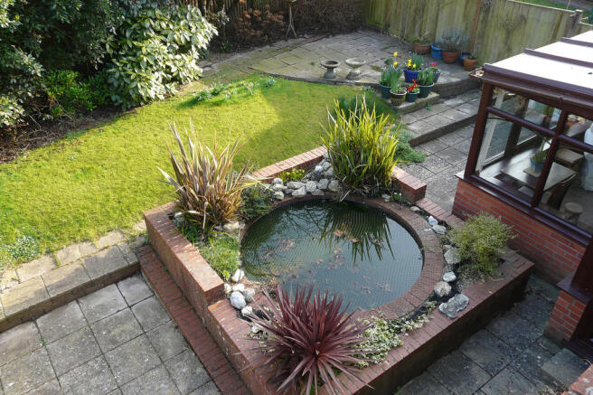 Ornate Pond