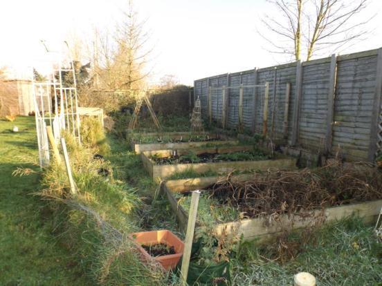 Veg Plot