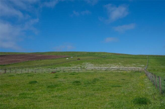 Fields