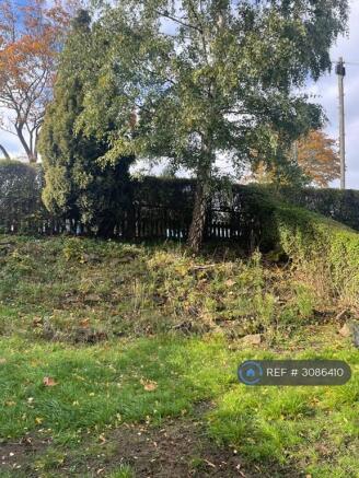 Front Garden Autumn