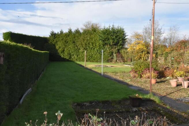 Garden.jpg