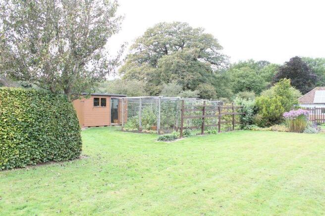 vegetable patch