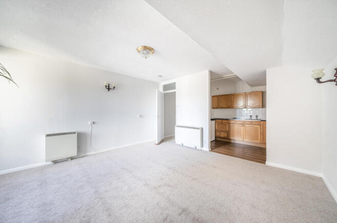Living Room/Kitchen