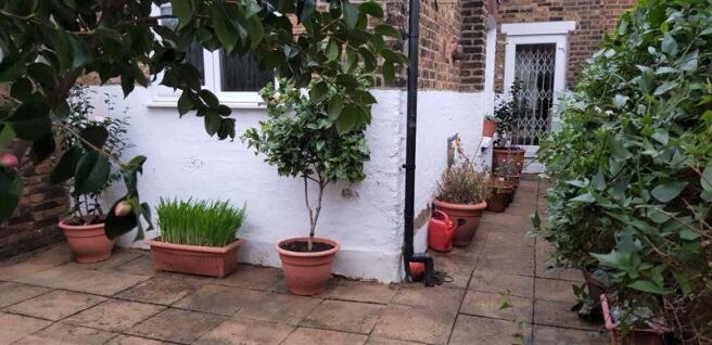 Photo 20