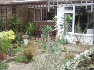 GARDEN (ANGLE 1)
