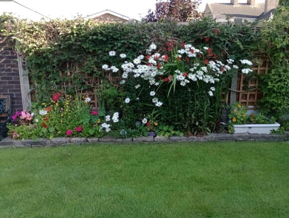 Photo 27