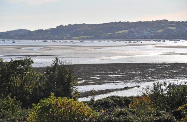 Estuary View