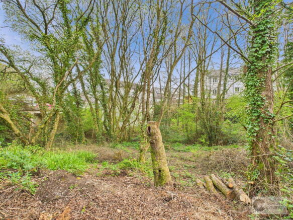 Photo 28