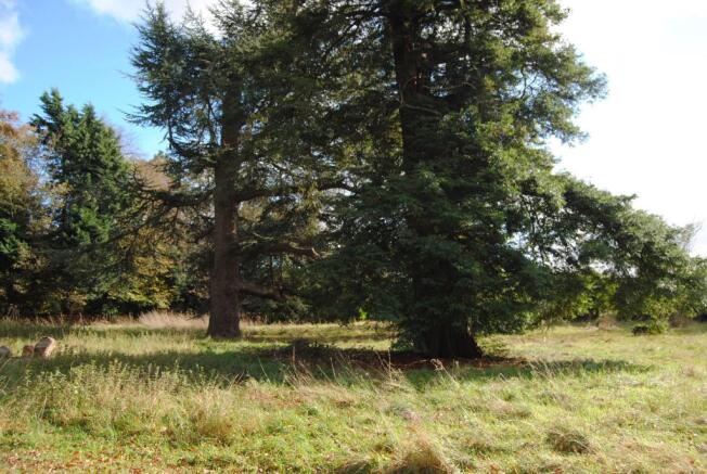 Back of Land