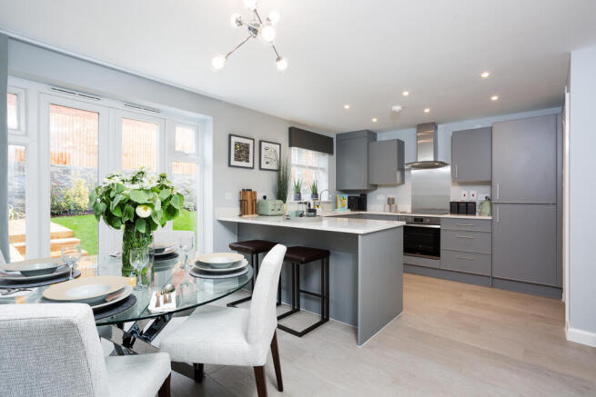 cypress_07