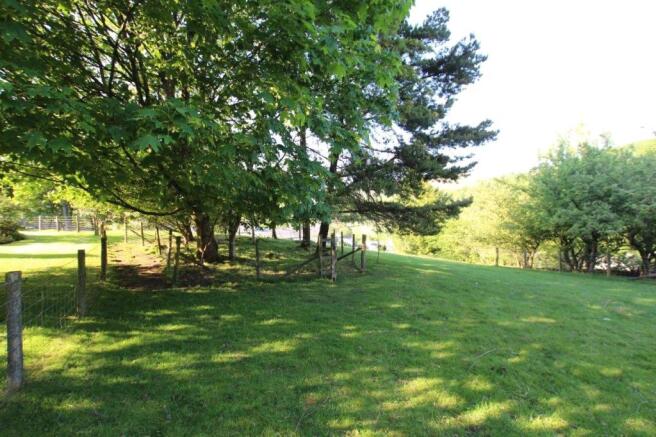 Field
