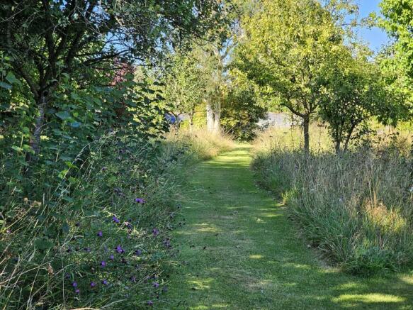 Wild Flower Walk
