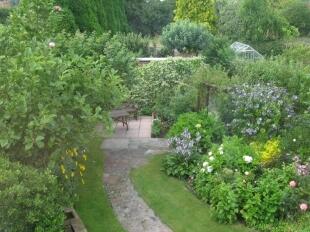 Rear Garden 5