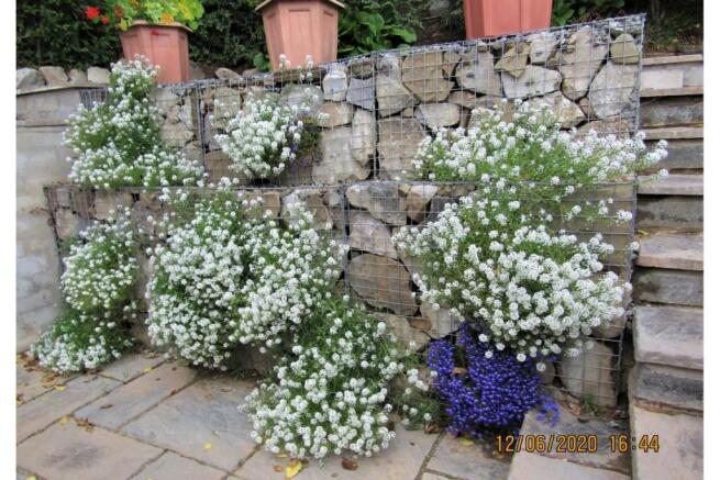 Photo 29