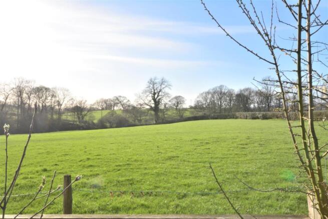 Open fields