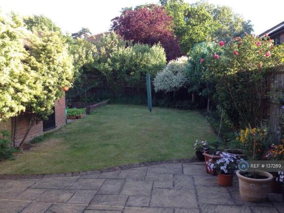 South Facing Garden