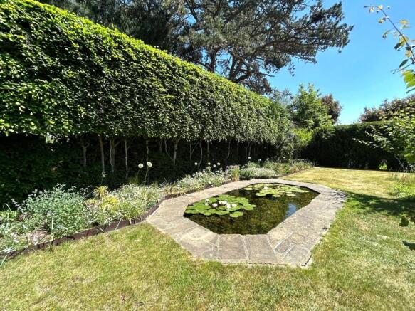 Pond