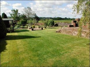 Garden 5