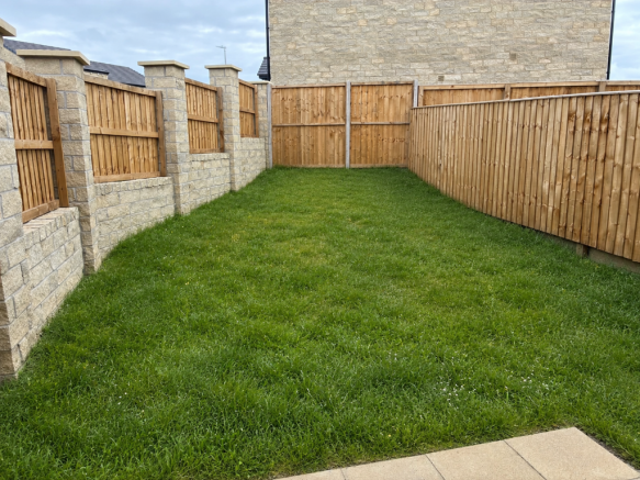 Back Garden