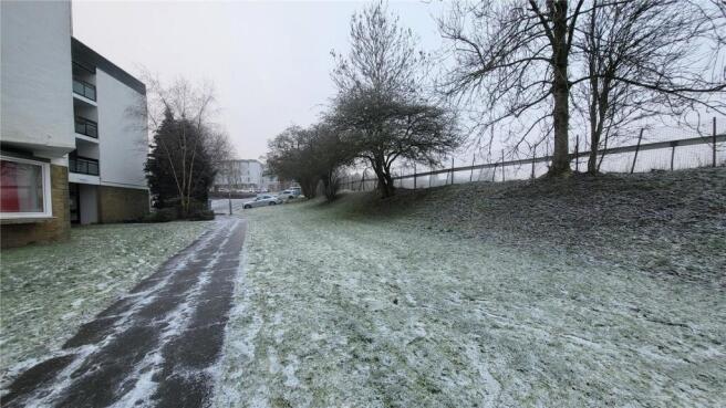 Picture 11