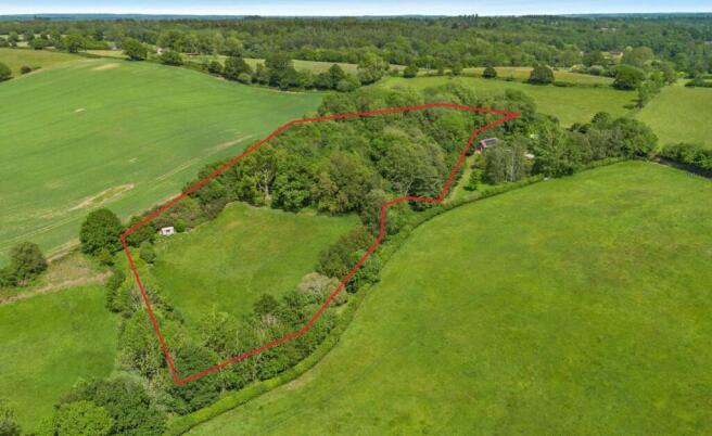 Picture No. 12