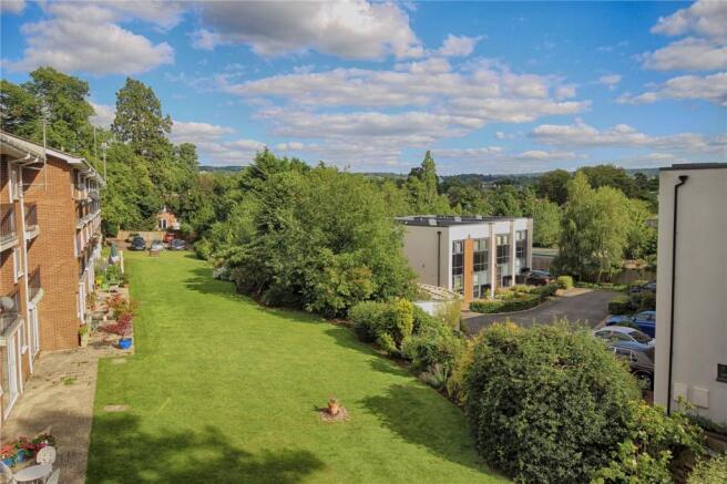 View From Rear