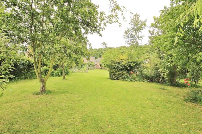 garden1.JPG