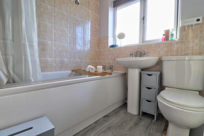 IMG_2564_5_6