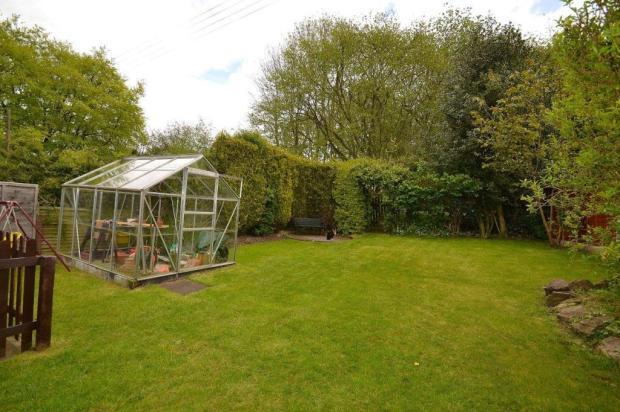 Garden 4