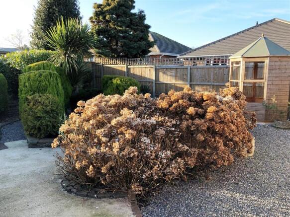garden2.jpg