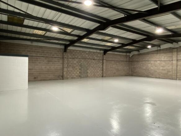 Int pic 24 Albion 31.1.24 1.JPG