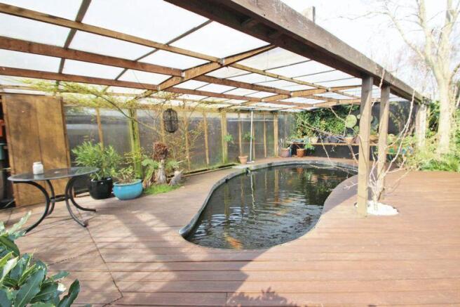 Pond