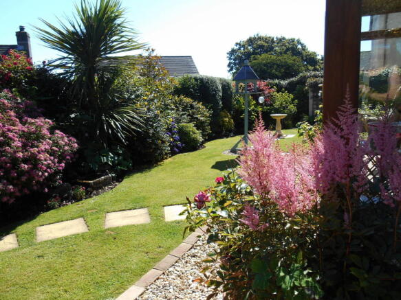 Photo 23
