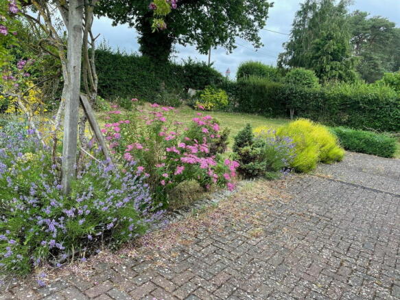 Photo 23