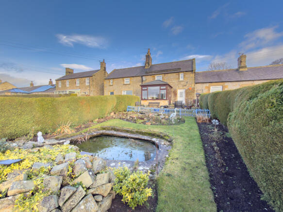 IMG 0443 T202601141927.jpg