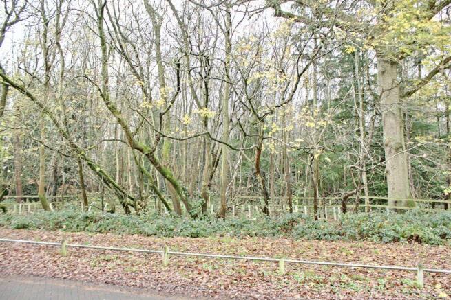View from Property at Front