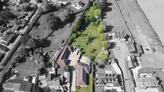 imageedit_1_60496...