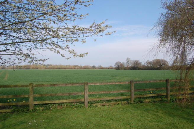 Photo 28