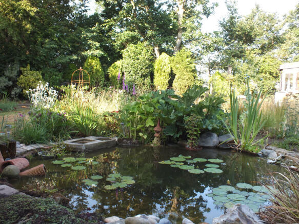 garden