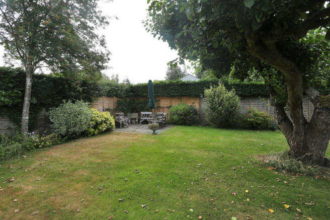 Picture 11