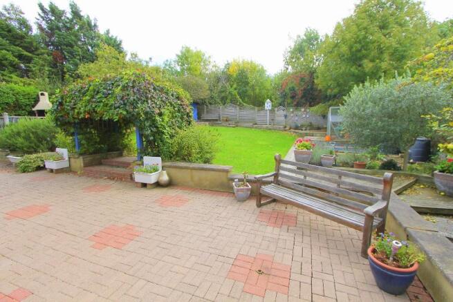 Photo 15