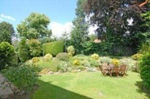 Garden Photo 1