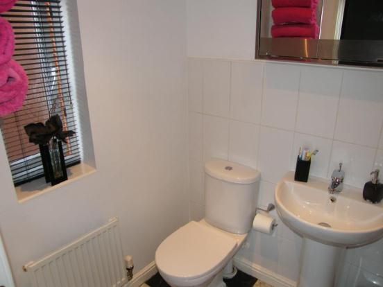 Picture No.06