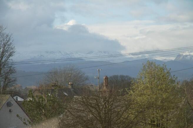 View from garden