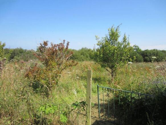 Access to Field