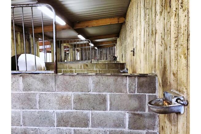 Stables