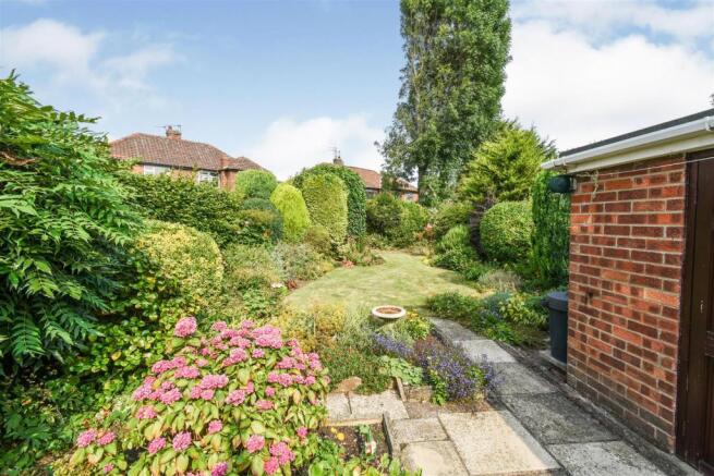garden 1.JPG