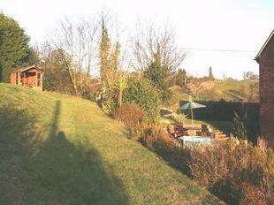 Picture 8